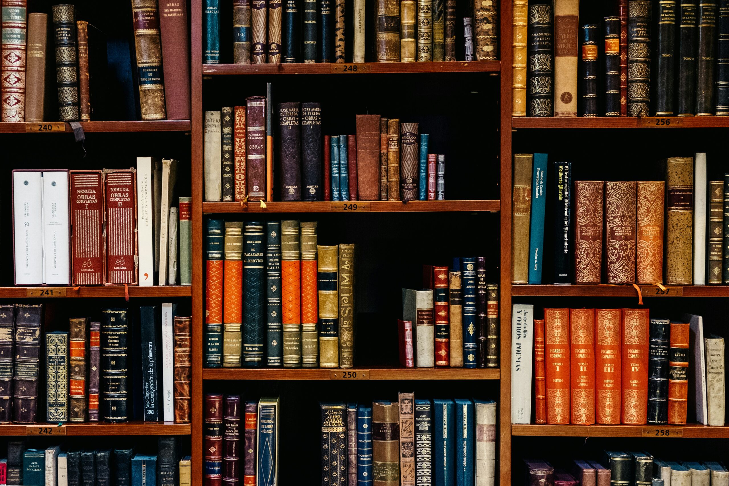 Consulenza legale: tutto ciò che devi sapere